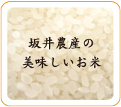 坂井農産の美味しいお米