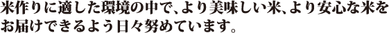 米作りに適した環境の中で、より美味しい米、より安心な米をお届けできるよう日々努めています
