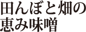 田んぼと畑の恵み味噌
